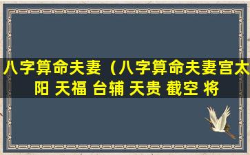 八字算命夫妻（八字算命夫妻宫太阳 天福 台辅 天贵 截空 将星）